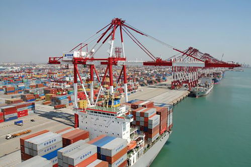 出口退運(yùn)那些事 貨物進(jìn)出口中的常見問題與應(yīng)對(duì)策略