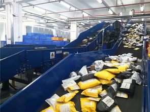 東莞制造乘跨境電商?hào)|風(fēng)，貨物進(jìn)出口實(shí)現(xiàn)跨越式增長